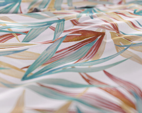 Aster Multi 240 x 220 - Afbeelding 4
