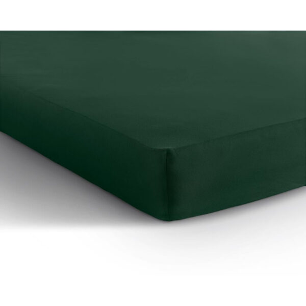 Dubbel Jersey 220 gr. Hoeslaken Botanisch Groen 140 x 200/220 - Afbeelding 2