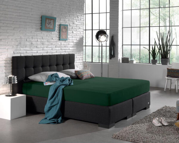 Dubbel Jersey 220 gr. Hoeslaken Botanisch Groen 80/100 x 220 - Afbeelding 2