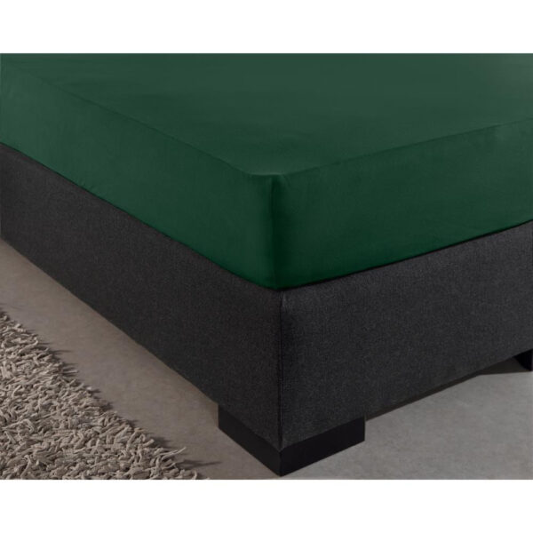 Dubbel Jersey 220 gr. Hoeslaken Botanisch Groen 80/100 x 220 - Afbeelding 4