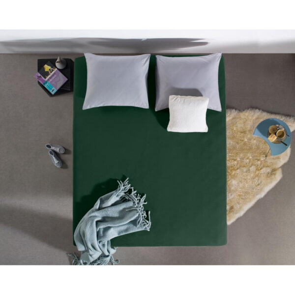 Dubbel Jersey 220 gr. Hoeslaken Botanisch Groen 80/100 x 220 - Afbeelding 5